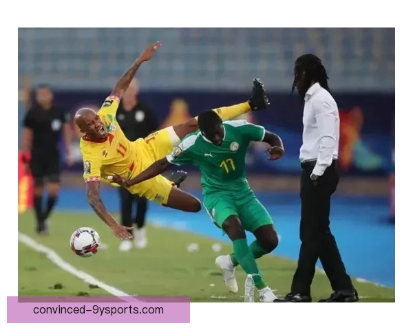 塞内加尔世界杯精彩瞬间与球队表现深度解析